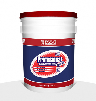 Profesional Exterior